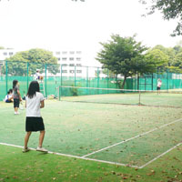 テニス（女子）